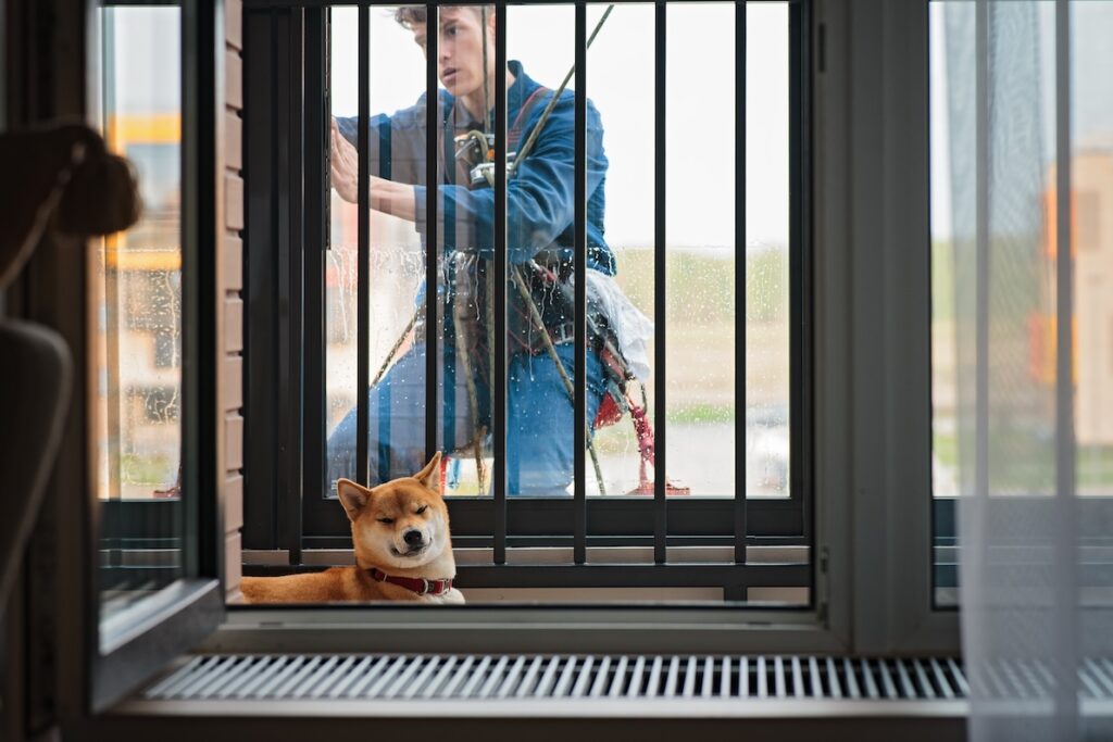 A young man cleans dog kennels for his summer job.